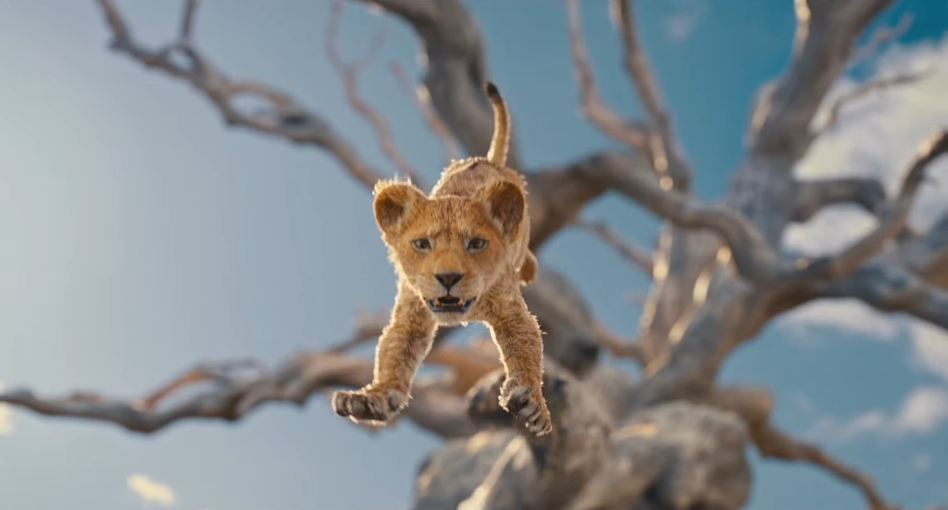 trailer of movie mufasa the lion king