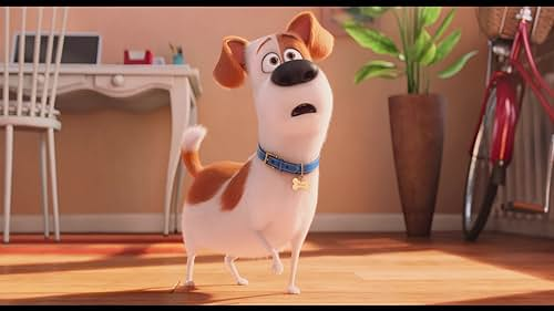 The Secret Life of Pets best movies to watch with family