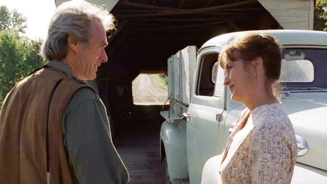 The Bridges of Madison County (1995) Movie like the notebook