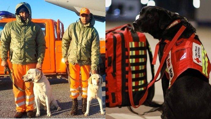 Julie, Romio, Honey and Rambo: India sends rescue dogs to quake-hit Turkey - India Today