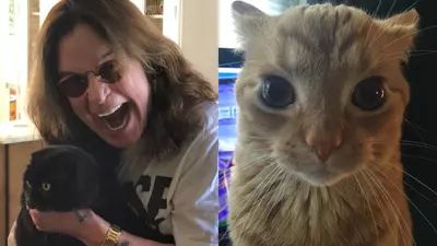 ozzy osbourne got no control