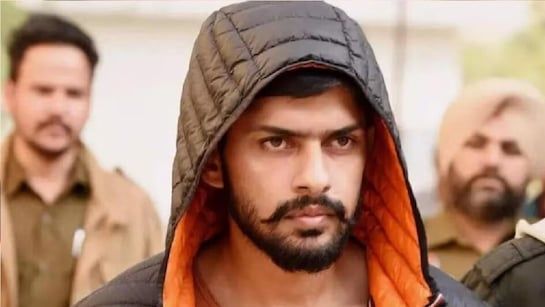 lawrence bishnoi gang terrorist organisation, canada mp frank caputo