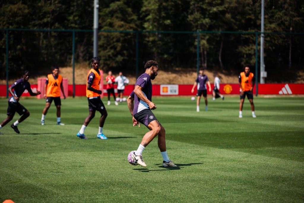 Reps, runs, repeat — anxiety off, autopilot on.